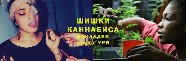 ешки Арсеньев
