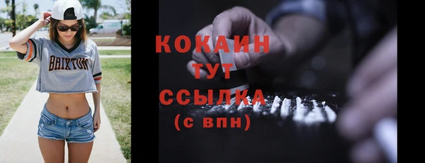 ешки Арсеньев