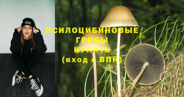 а пвп мука Армянск