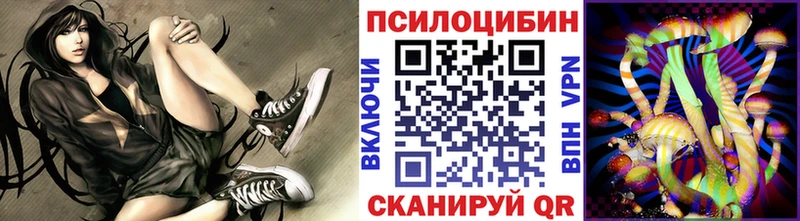 Галлюциногенные грибы прущие грибы купить наркоту Всеволожск
