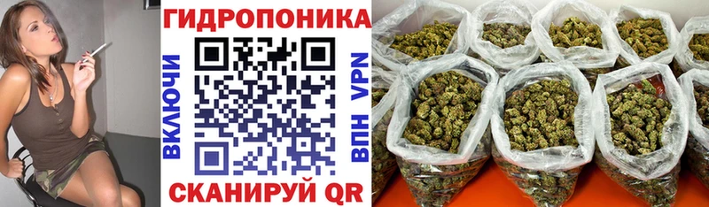 где купить наркотик  Всеволожск  Канабис White Widow 